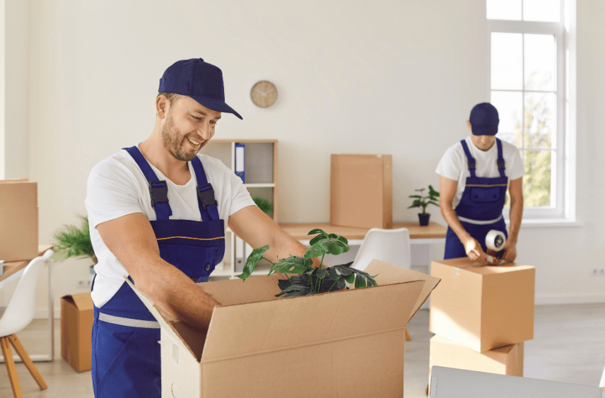 Ein- und Auspackservice